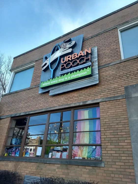 Urban Pooch Training and Fitness Center, Illinois, Chicago